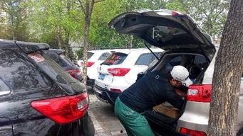 318吃瓜娱乐车友会,畅游车界,共享欢乐时光